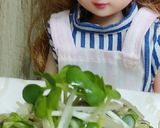 リカちゃん♡鶏レバーかいわれ鬼からしマヨ作り方27写真