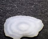 マコガレイのムニエル作り方3写真