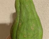 はやとうりの浅漬け　塩昆布作り方4写真