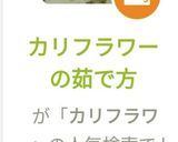 カリフラワーの茹で方作り方6写真