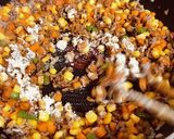 簡単包丁いらずのドライカレー＊子供も作り方3写真