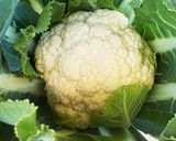 お年寄り絶賛シリーズ☆豚肉・梅野菜巻き☆作り方9写真