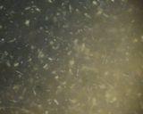 リカちゃん♡しょうが餡掛け豆腐作り方8写真