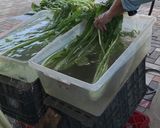 野沢菜漬け作り方1写真