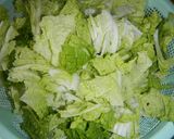 塩分控えめ…彩り白菜の浅漬け作り方1写真