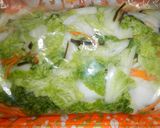 塩分控えめ…彩り白菜の浅漬け作り方5写真