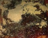 スロークッカーで作るスペアリブ作り方2写真