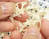 干しれんこん/レンコンパウダーの作り方作り方5写真