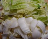 ヘルシー！白菜と鶏もも肉のピリ辛煮！作り方1写真