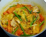 ヘルシー！白菜と鶏もも肉のピリ辛煮！作り方8写真
