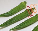 オクラのゆで方作り方1写真