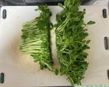 豆苗のねりごまポン酢和え作り方1写真