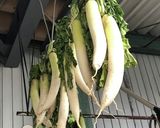 ★基本のたくあん作り方1写真