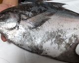 マナガツオの炙り作り方1写真