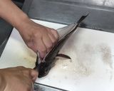 失敗しにくい干物の作り方・メバル背開き編作り方4写真
