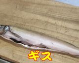 ギスナゲット(白身魚ナゲット）作り方1写真