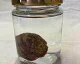 マカ酒！身体がぽかぽか温まる作り方4写真