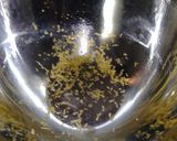 レアチーズケーキ作り方18写真