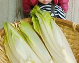 リカちゃん♡ちこりアンチョビにんにく作り方1写真