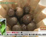 十勝川西長いも④むかご入り赤飯作り方1写真