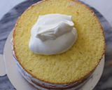 かくれんぼクリスマスケーキ作り方23写真