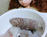 リカちゃん♡イカとねぎの味噌炒め作り方1写真