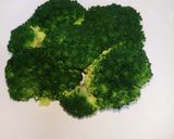 ブロッコリー☆ツリー作り方6写真