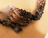 本気で美味しい渡り蟹のパスタ、でも手抜き作り方2写真