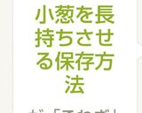 小葱を長持ちさせる保存方法作り方8写真