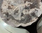 鉄鍋(スキレット)でどて焼き〜八丁味噌〜作り方7写真