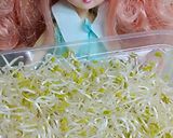 リカちゃん♡白身魚と細ねぎアルファルファ作り方1写真