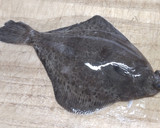 カレイのから揚げ（メイタガレイ編）作り方1写真
