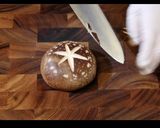 椎茸の肉詰め 作り方 | 椎茸つくね作り方1写真
