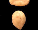 どんぐりクッキー☆全種類のどんぐりOK作り方10写真