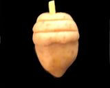 どんぐりクッキー☆全種類のどんぐりOK作り方13写真