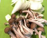 簡単・時短！面倒な時にはこれ鶏のトマト煮作り方1写真