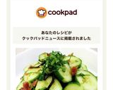 大葉を簡単に切る方法作り方32写真