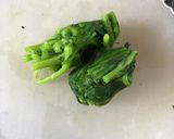 春菊の胡麻味噌和え(弁当作り置き)作り方4写真