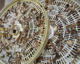 古生姜で作る…「発酵生姜」作り方6写真