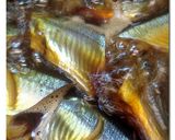 サンマ ♪ 簡単 ♪ お醤油煮作り方3写真