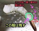 お節！ぽってり可愛いえびのツナマヨ焼き作り方1写真