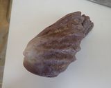 マグロ胃袋のおろしネギぽん酢作り方2写真