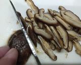 簡単！手作り春巻き作り方9写真