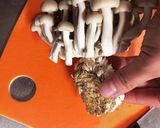 簡単○ミートソーススパゲティ作り方16写真
