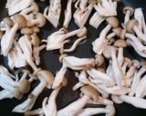 簡単！地味だけど美味♪しめじの塩ごま炒め作り方1写真