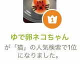 ゆで卵ネコちゃん作り方14写真