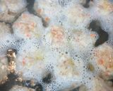 揚げない野菜たっぷりやわらか黒酢風肉団子作り方3写真