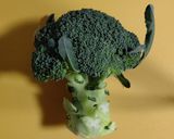 ブロッコリーのゆで方と切り方作り方1写真