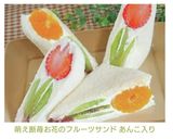 萌え断苺お花のフルーツサンド あんこ入り作り方33写真