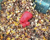 茸のボロネーゼ作り方17写真